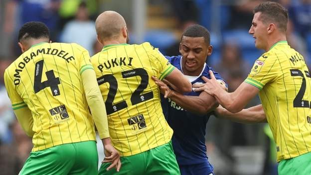 Cardiff and Norwich fined for player fracas